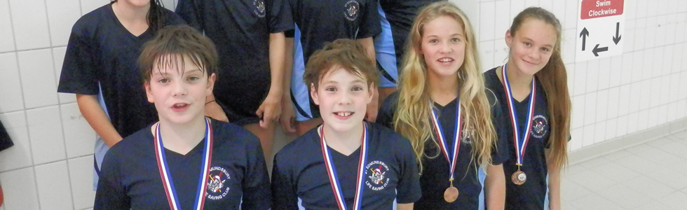 St Edmundsbury Lifesaving Club